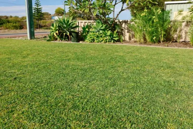 How to Fix Dry Patches on Your Lawn in Perth (Complete Guide)