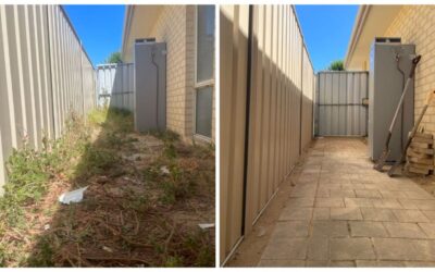 Best Weeding Strategies That Actually Work in Perth