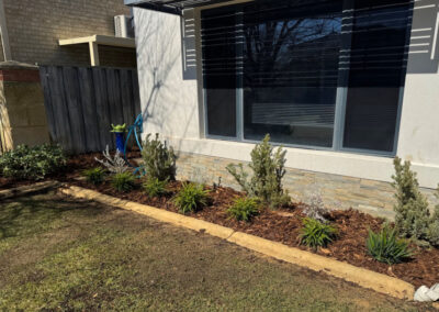 Mulch and new plants
